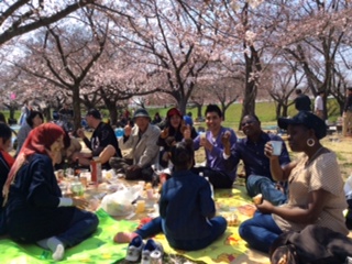 Cherry Blossom Party!