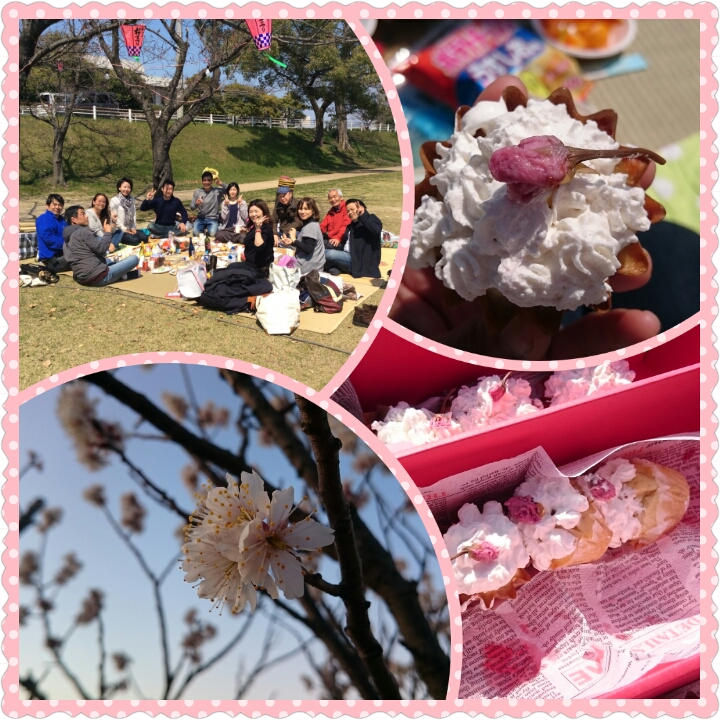 Cherry Blossoms party!